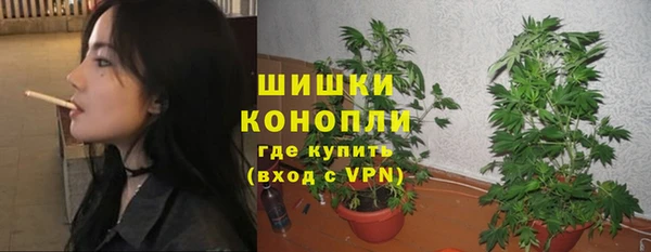 PSILOCYBIN Верхний Тагил