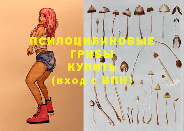 скорость Липки
