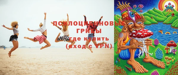 дурь Лиски