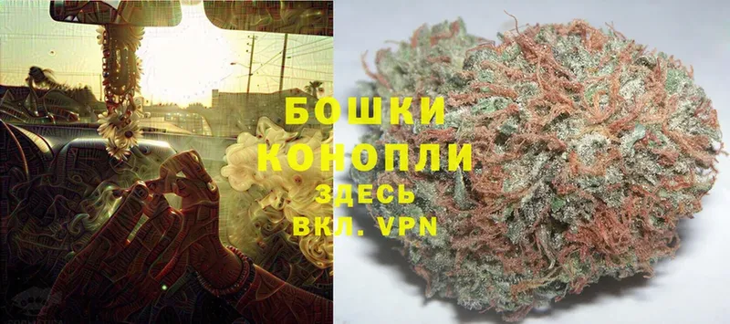 где можно купить   Давлеканово  Конопля Bruce Banner 